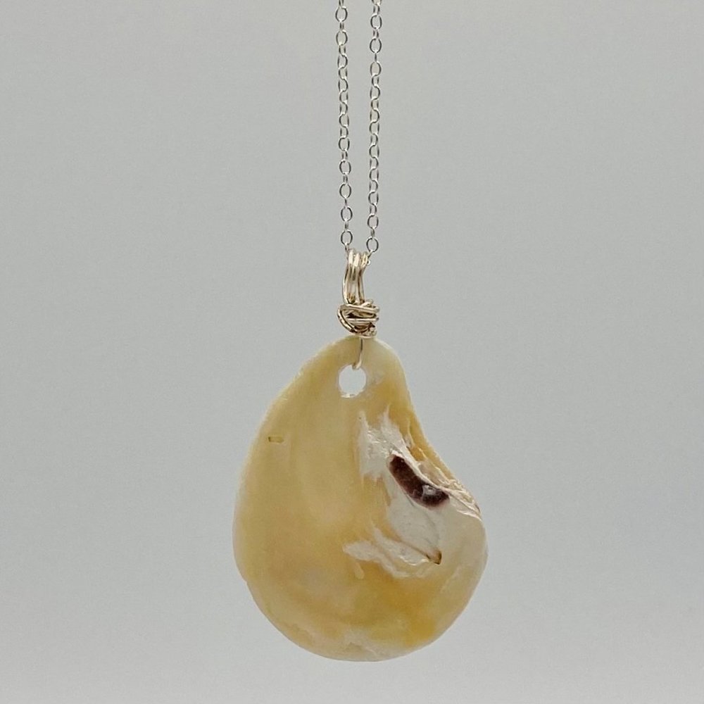 Shell Pendant on 24" Silver Chain Necklace; S24-71